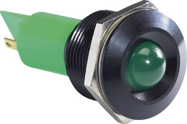 APEM Q19P1BXXG24AE LED-Signalleuchte Grün 24 V/DC, 24 V/AC