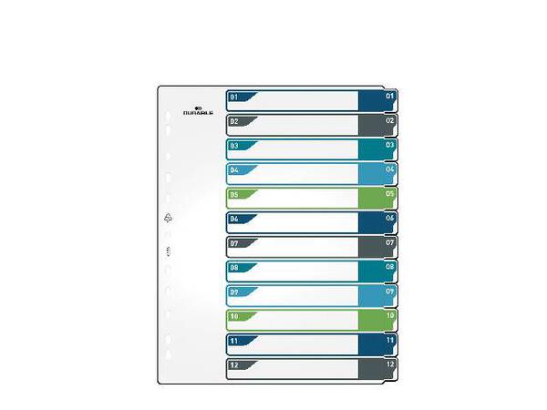 Durable 679627 Register DIN A4+ 1-12 Mehrfarbig 12 Registerblätter 679627