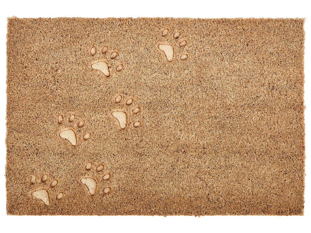 Fußmatte TARLAC 40 x 60 cm Kokosfasern Naturfarben